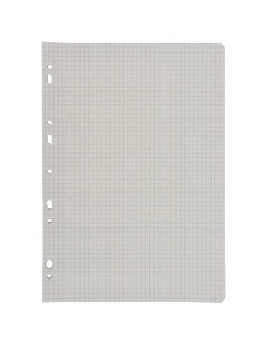Sachet de 50 feuillets mobiles (100 pages),...