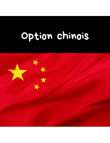 LV2 chinois