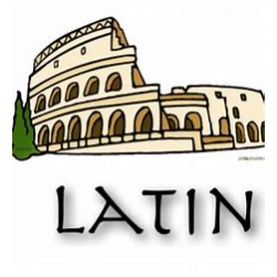 Option latin