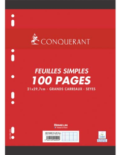 Feuillets mobiles 21x29,7cm 100 pages grands carreaux