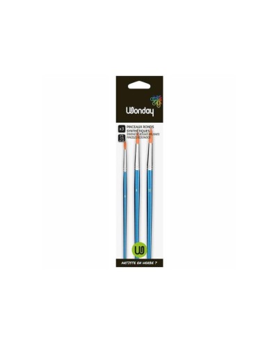 lot de pinceaux n°4,8,12