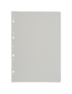 Sachet de 50 feuillets mobiles (100 pages), format A4,...