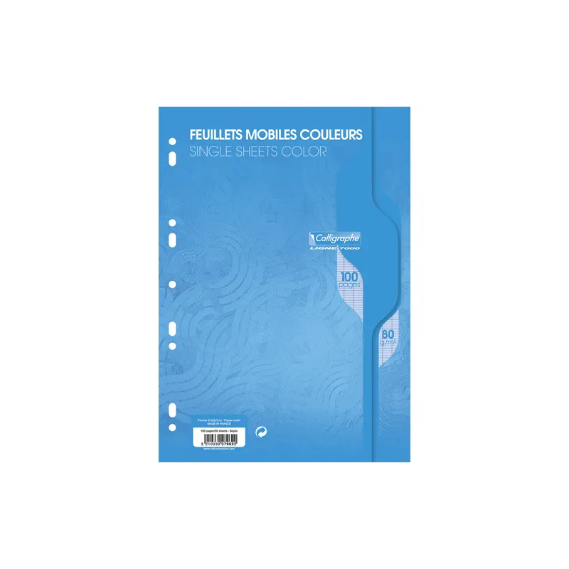 Copies simples couleur Bleu 100 pages grands carreaux A4.