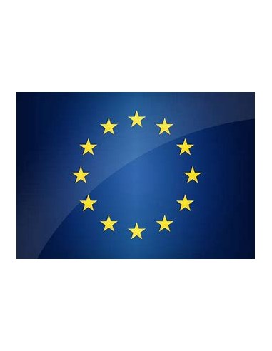 Section internationale 6ème