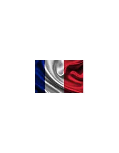 Français langue seconde