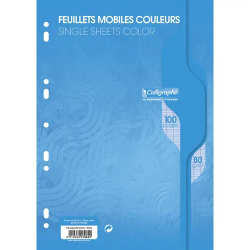 Copies simples couleur Bleu 100 pages grands carreaux A4.