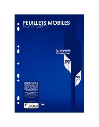 Sachet de 50 feuillets mobiles (100 pages),...