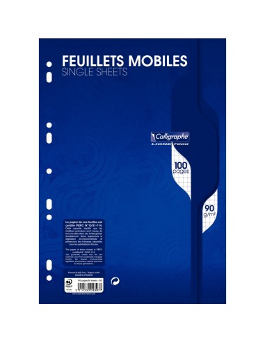 Feuillets mobiles 100 pages 90g, format A4,...