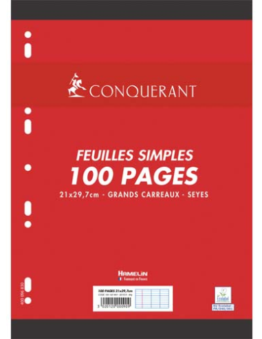 Feuillets mobiles 21x29,7cm 100 pages grands carreaux