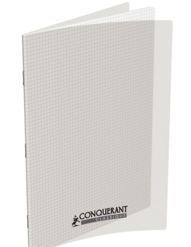 Cahier 48 pages grand format 21X29,7cm, petits carreaux
