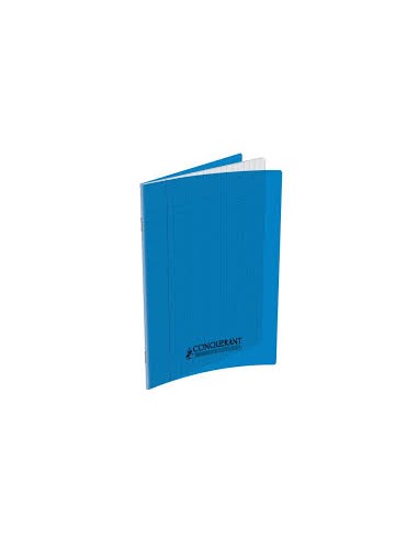 cahier 17*22 48p grands carreaux