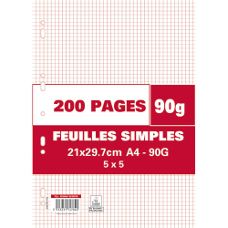 200 pages copies simples A4 petits carreaux 5x5 perforées