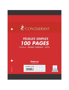 sachet de 50 feuillets mobiles (100 pages), format 17*22,...