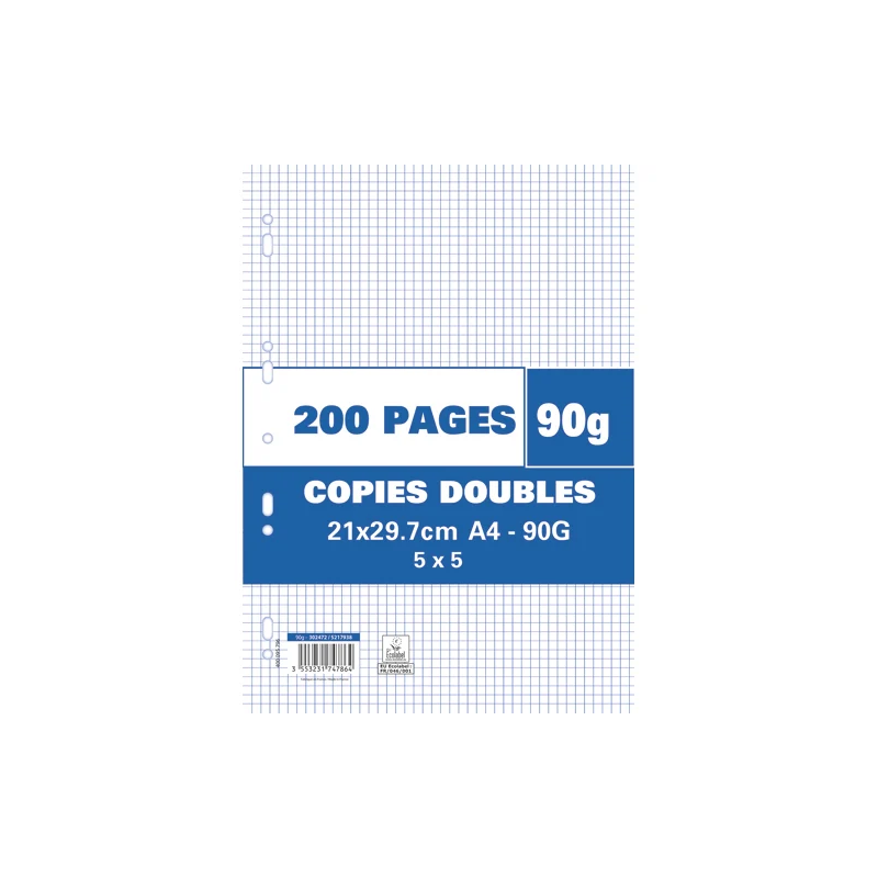 200 pages copies doubles A4 petits carreaux 5x5 perforées