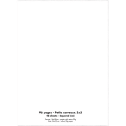 Cahier 24x32cm 96p 5x5. Couv PP incolore